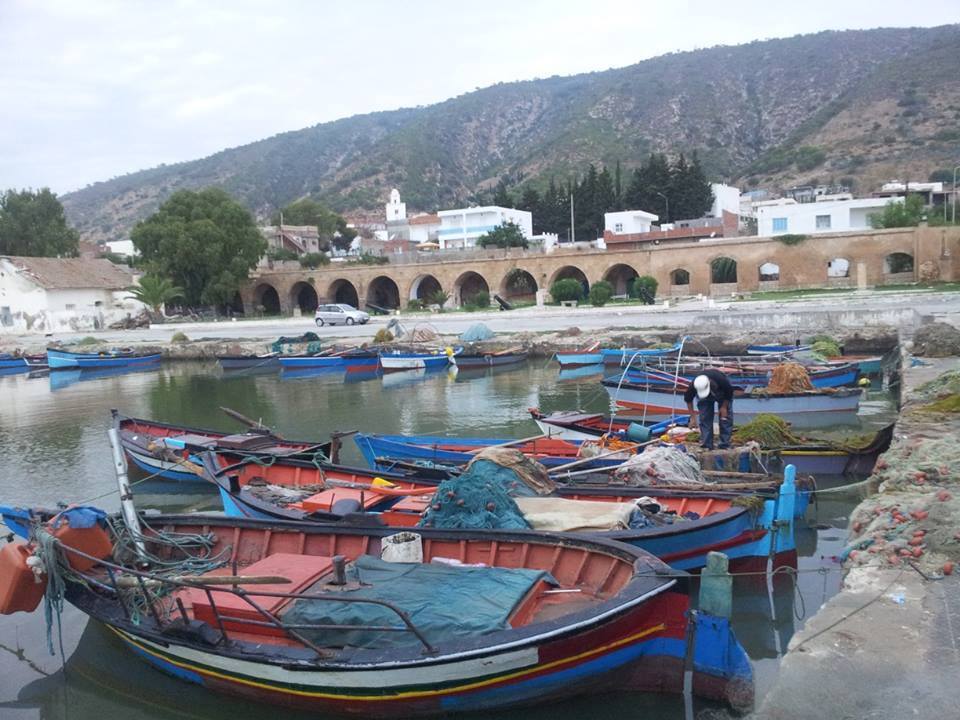  غار الملح.. القبض على كهلين استغلا مأوى عشوائيا